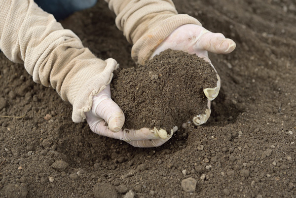 おかやまオーガニック・土づくり・肥料・土壌改良